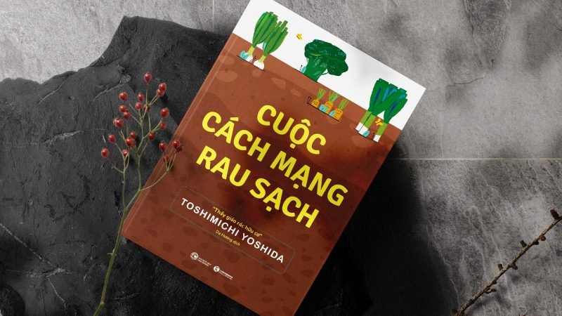 “Cuộc cách mạng rau sạch” – Thay đổi nhỏ cho hành tinh xanh