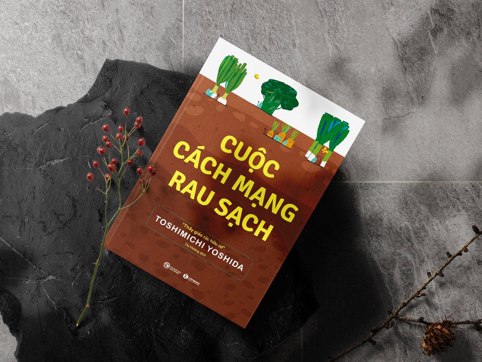 “Cuộc cách mạng rau sạch” – Thay đổi nhỏ cho hành tinh xanh